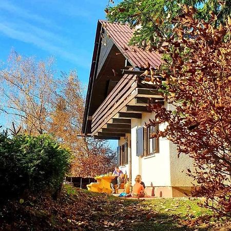 Villa Pet & Family Friendly House Viktorija - House Near Golica With Triglav View à Jesenice Extérieur photo