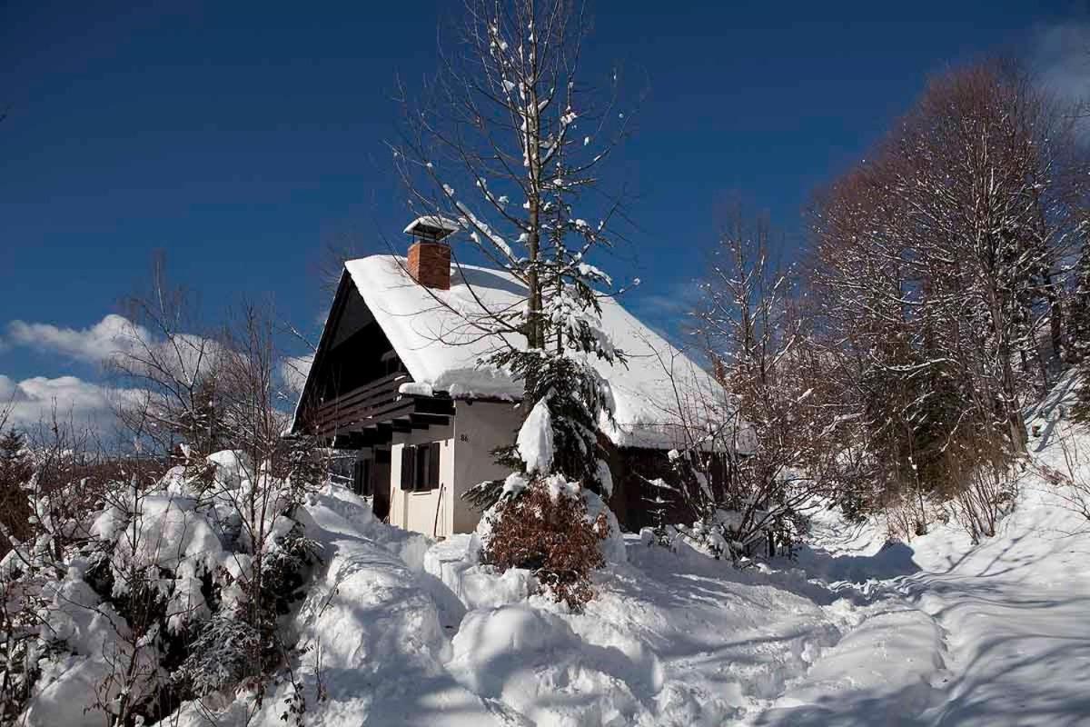 Villa Pet & Family Friendly House Viktorija - House Near Golica With Triglav View à Jesenice Extérieur photo
