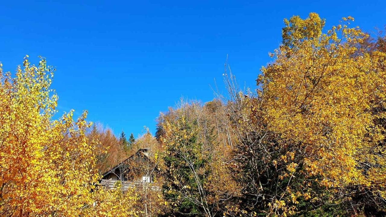Villa Pet & Family Friendly House Viktorija - House Near Golica With Triglav View à Jesenice Extérieur photo