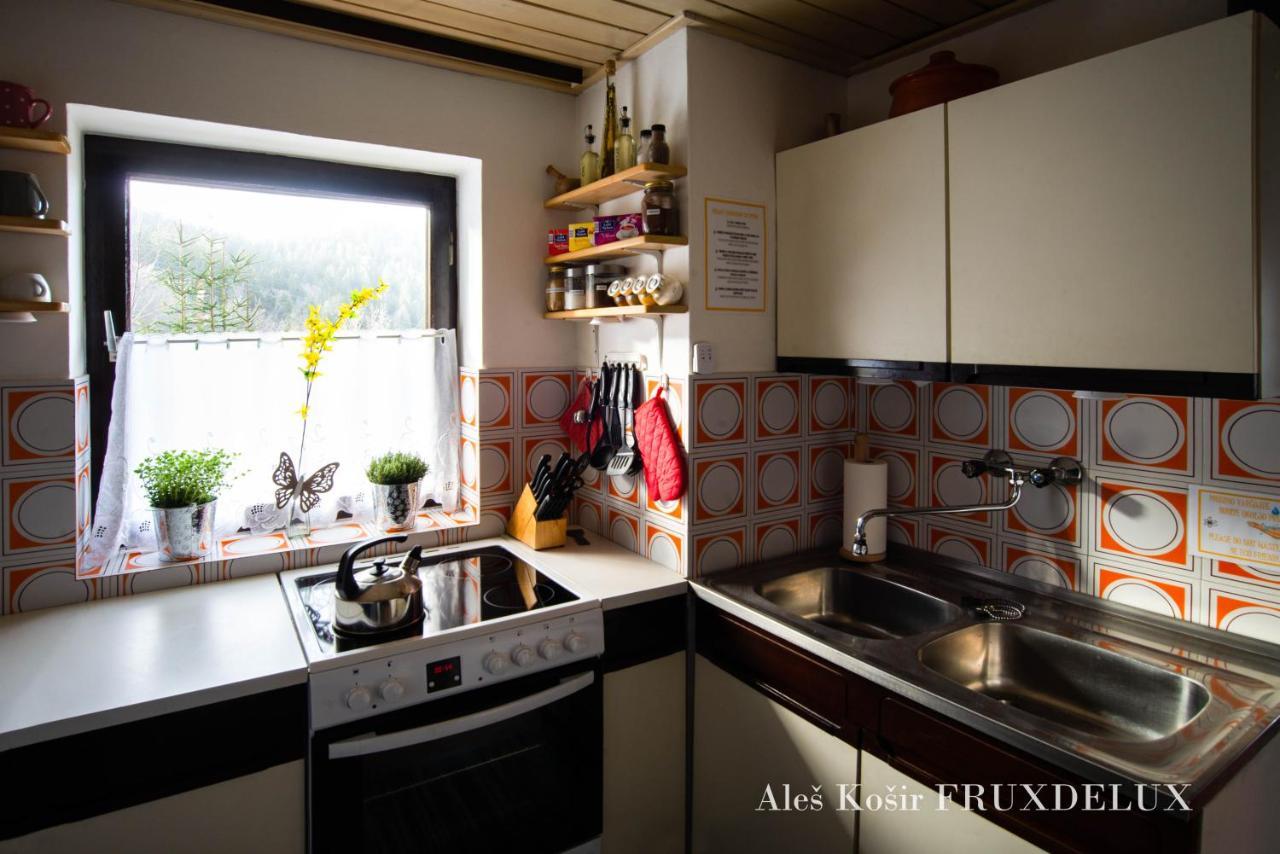 Villa Pet & Family Friendly House Viktorija - House Near Golica With Triglav View à Jesenice Extérieur photo